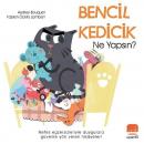 Bencil Kedicik Ne Yapsın?