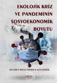 Ekolojik Kriz ve Pandeminin Sosyoekonomik Boyutu