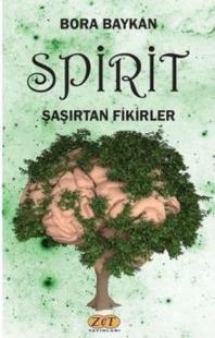 Spirit Şaşırtan Fikirler Bora Baykan